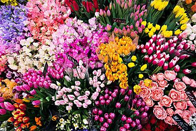 堕胎法案后 B社员工批评领导层不作为